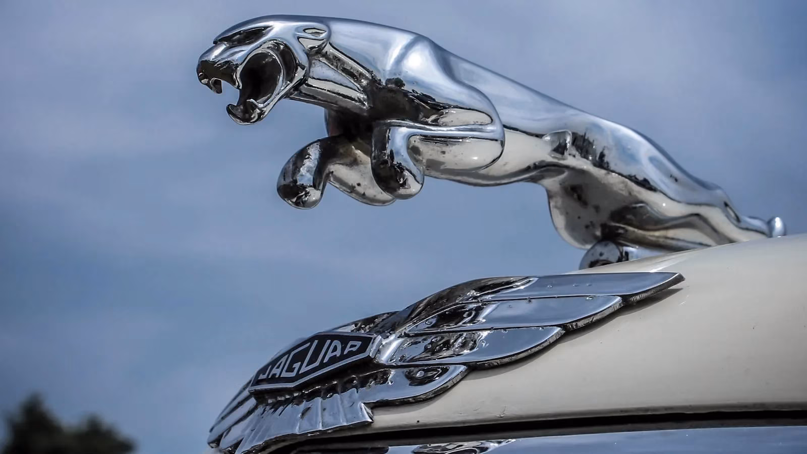 the-9000-supercharged-jaguar-xkr-that-embarrasses-the-mazda-miata-image-0