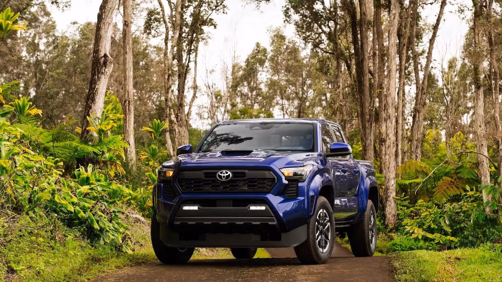 8-manual-pickup-trucks-with-enough-torque-to-get-real-work-done-image-1